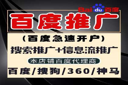 百度竞价广告在电商行业的应用及效果展示